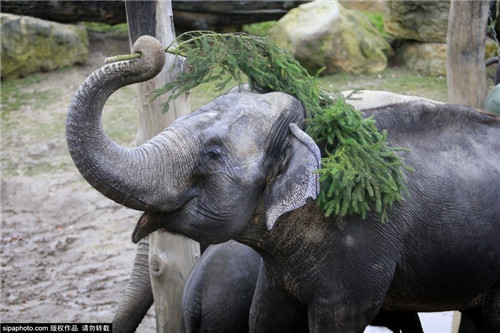 320��ʥ�����������������һ��ʥ��������Ȥ��