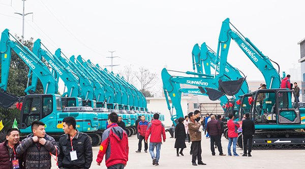 �Ʋ��ɵ����ǹ��ɶԹ��������ھ�������г������������