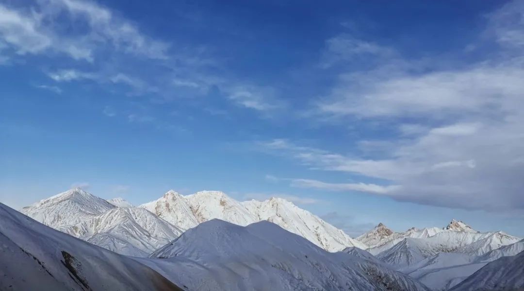 �ǹ��ɶԹ�������SWDE165A������������֮��