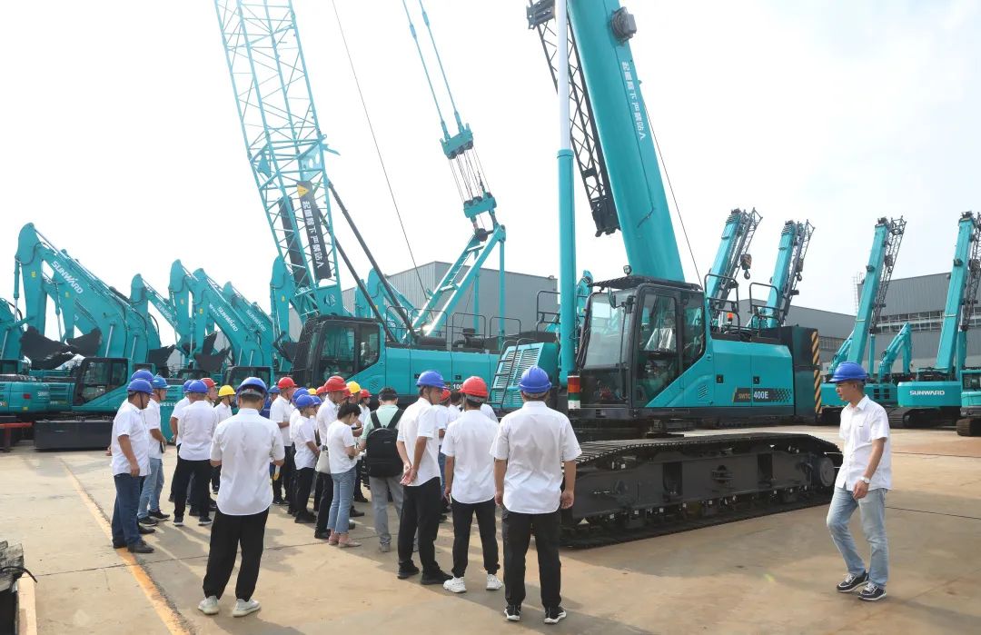 ˫ӥ��������E������ǰ�������ǹ��ɶԹ���������һ��Eϵ�����ػ����ߣ�