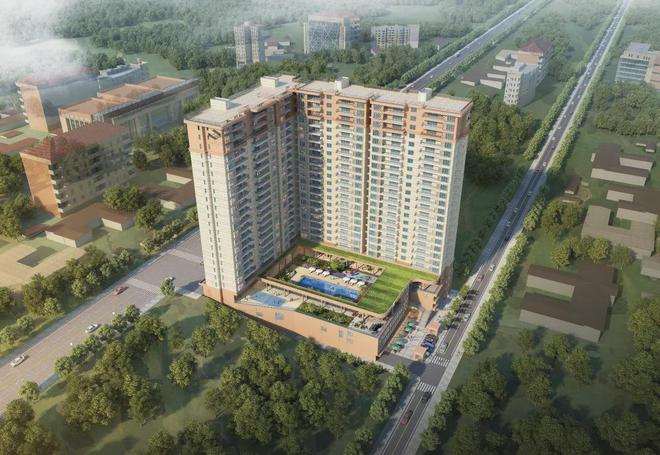 �����ڸɴ��һסլ��¥���裡�ǹ��ɶԹ��������ٴγ��������г�