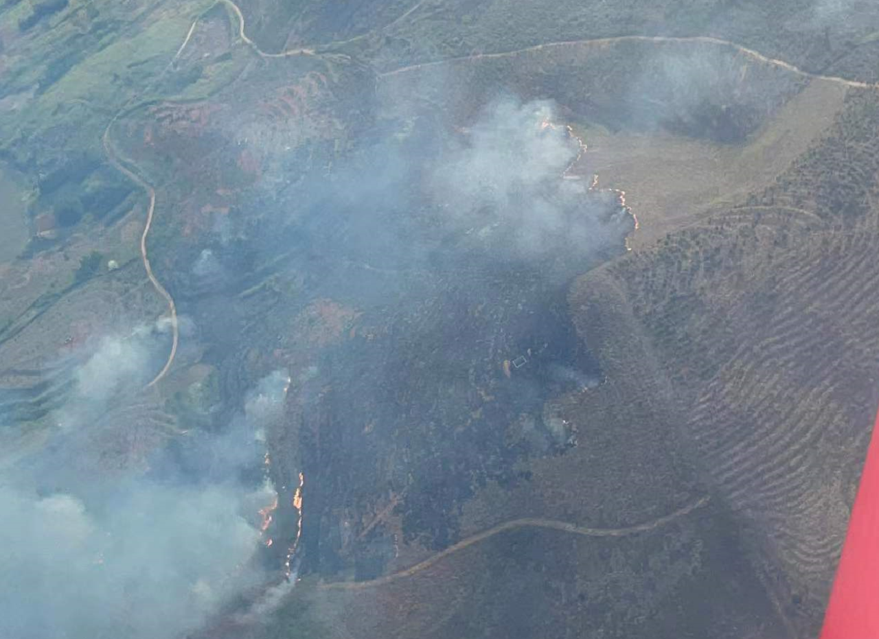 �������������Ϻ���Ӧ����Ԯ���ǹ��ɶԹ�������չ�֡��ǹ��ɶԹ������ʡ�