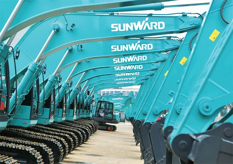 �����ǡ�ר�ⱨ��������ɼ����ǹ��ɶԹ�����