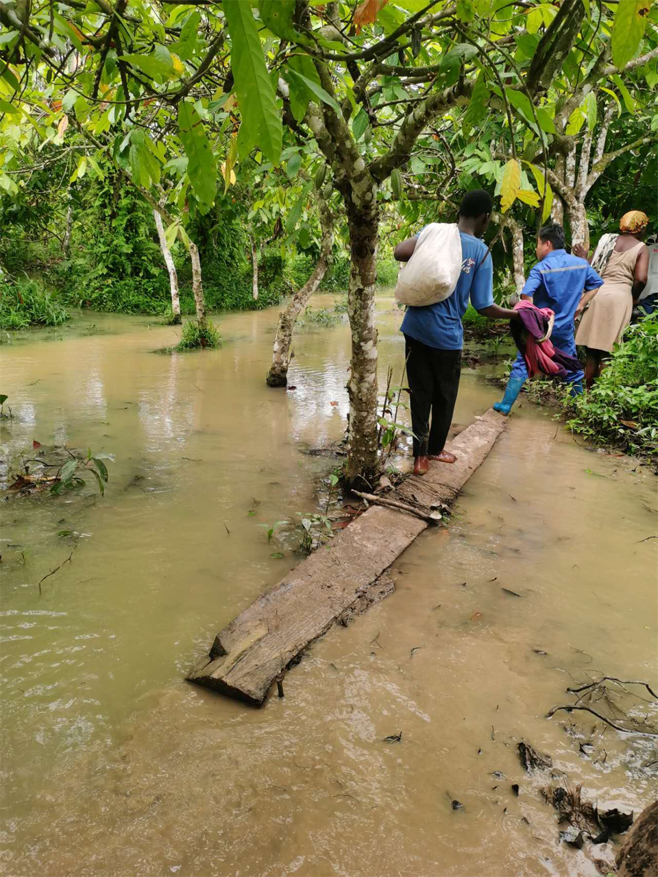 Ʒ���ǹ��ɶԹ�����ר�������ǹ��ɶԹ������ܷ����������˶��߽����޼���