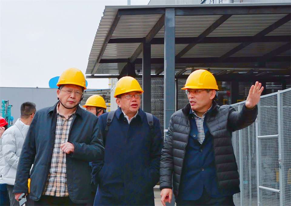 �廪��ѧ&�ǹ��ɶԹ��������ŽᲩʿ��������Ч�����߲����ǹ��ɶԹ�������ʯī����ȫ������һ��һ�廯���߳�������������