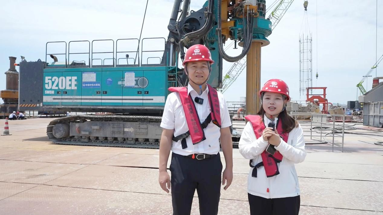 �ȵ�ʽ���������Ƶ綯��Ʒ���ǹ��ɶԹ�������SWDM520EE����ʽ��������ƽ���ֳɾ���